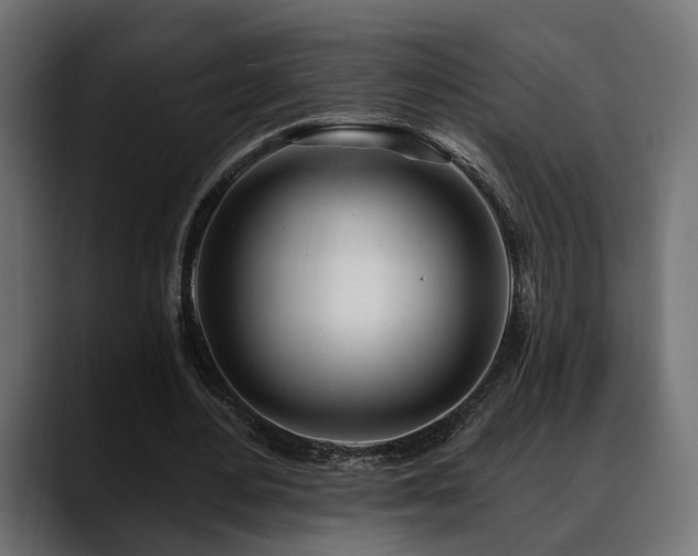 X0000088570484200705251121