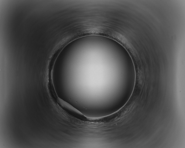 X0000088570486200705251121