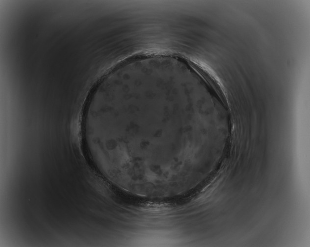 X0000088570487200705251121