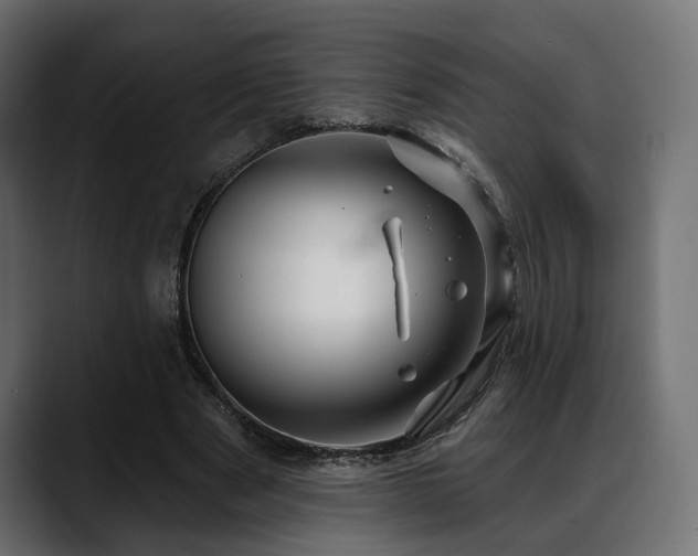 X0000088570489200705251121
