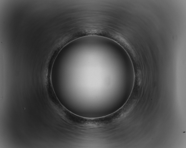 X0000088570490200705251120