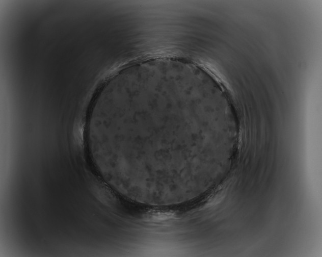 X0000088570491200705251120