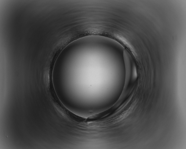 X0000088570493200705251120