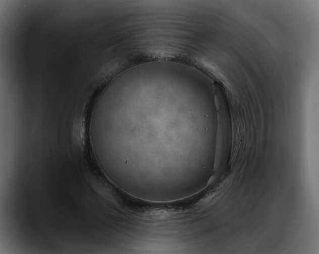 X0000088570494200705251120