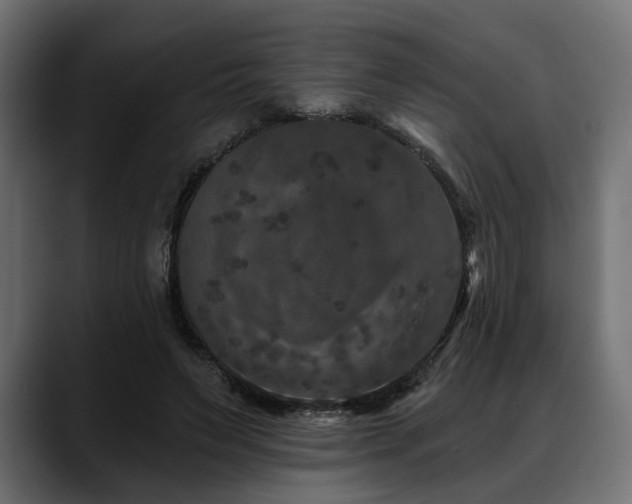 X0000088570495200705251120