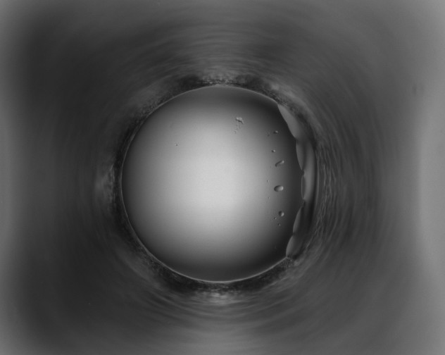 X0000088570498200705251120