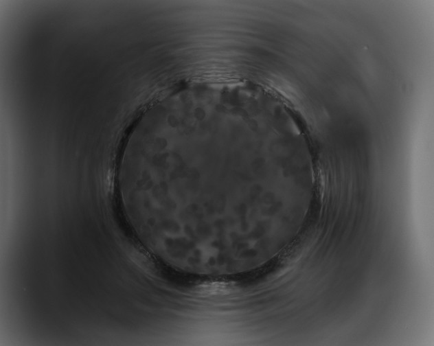 X0000088570499200705251120