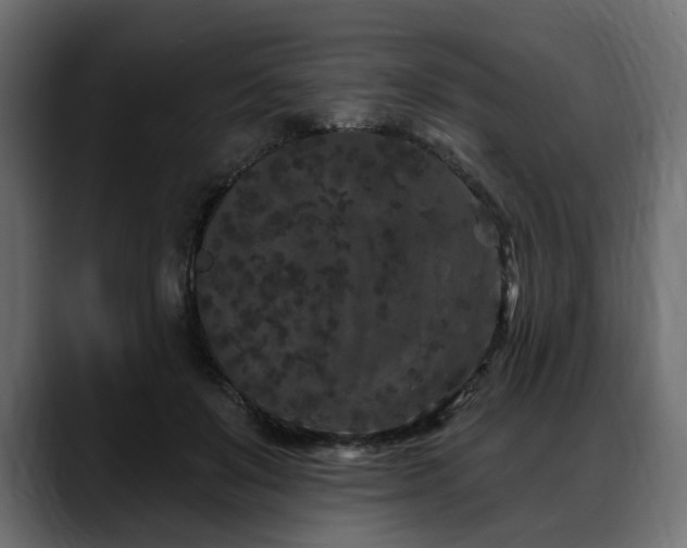 X0000088570503200705251120