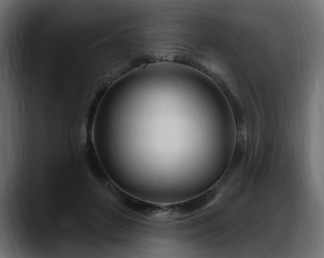 X0000088570504200705251120