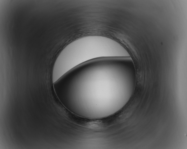X0000088570505200705251120