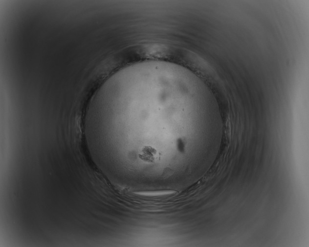 X0000088570506200705251120