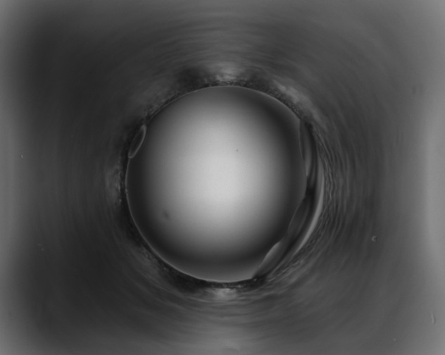 X0000088570509200705251120