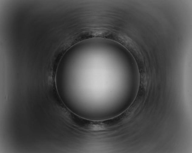 X0000088570510200705251120