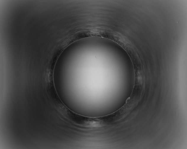 X0000088570514200705251120
