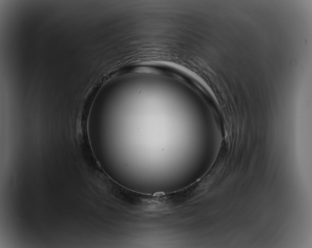 X0000088570516200705251120