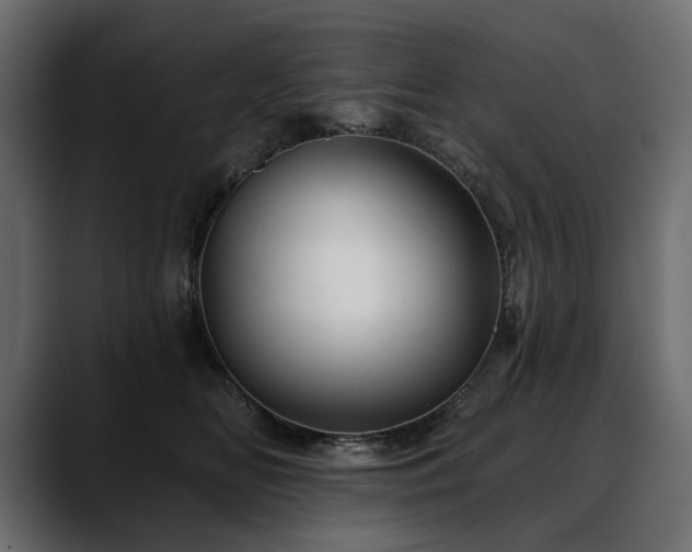 X0000088570518200705251120