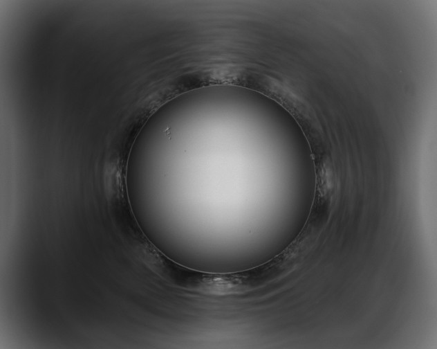 X0000088570522200705251120