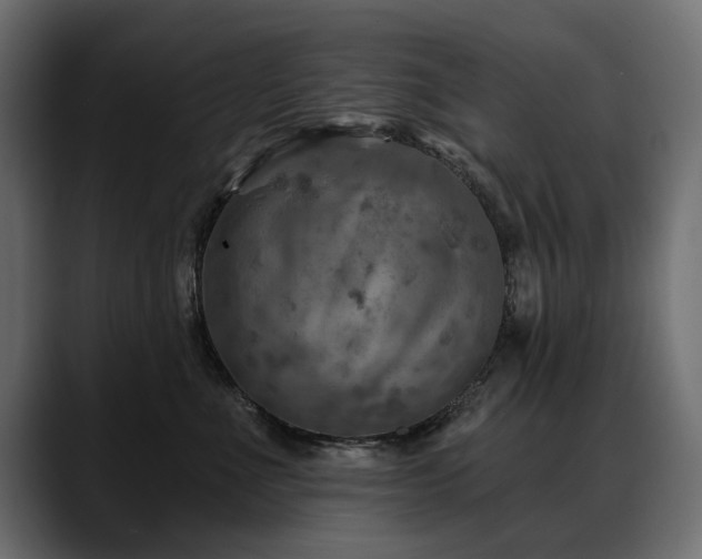 X0000088570523200705251120