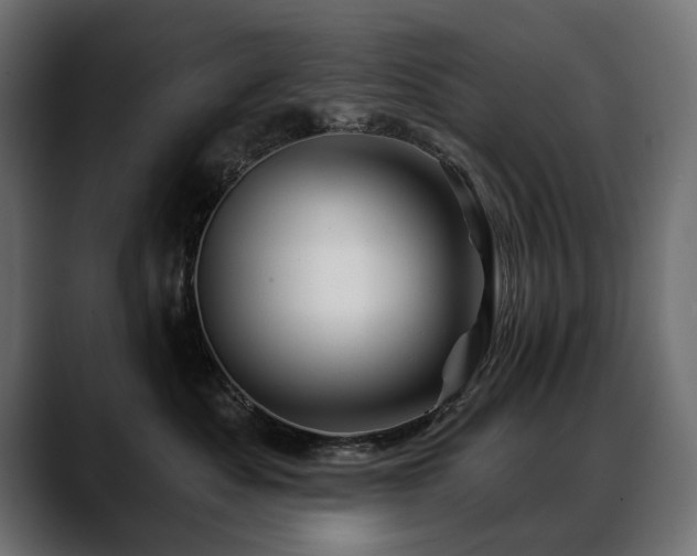 X0000088570525200705251120