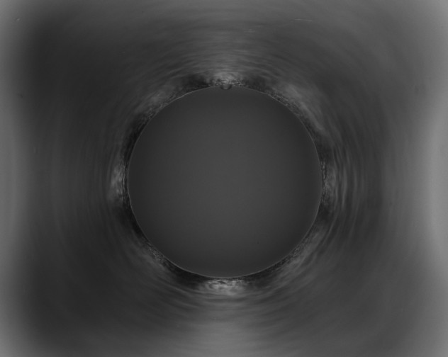 X0000088570526200705251120