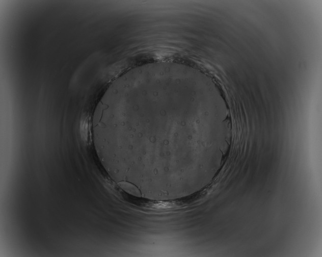 X0000088570527200705251120