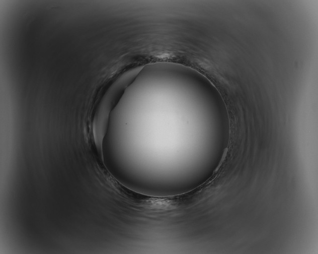X0000088570528200705251120