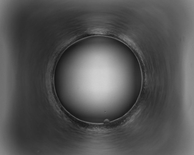 X0000088570529200705251119