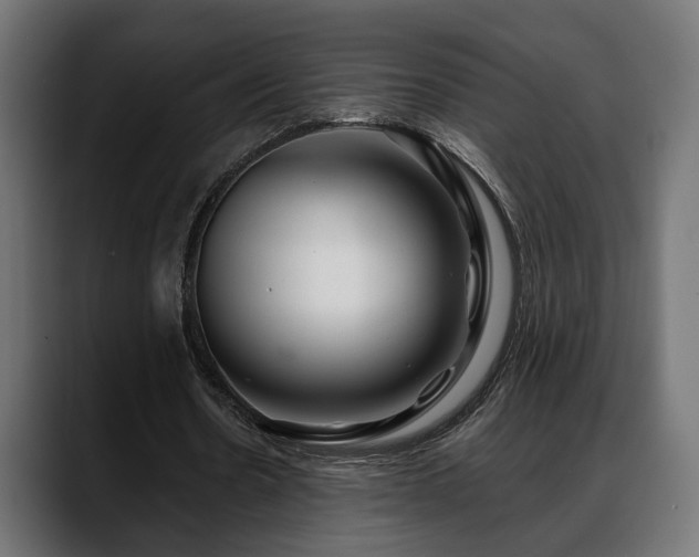 X0000088570530200705251119