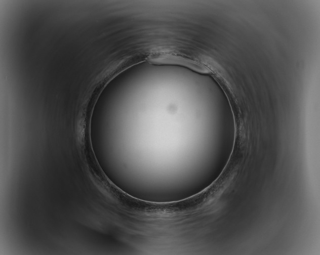 X0000088570533200705251119