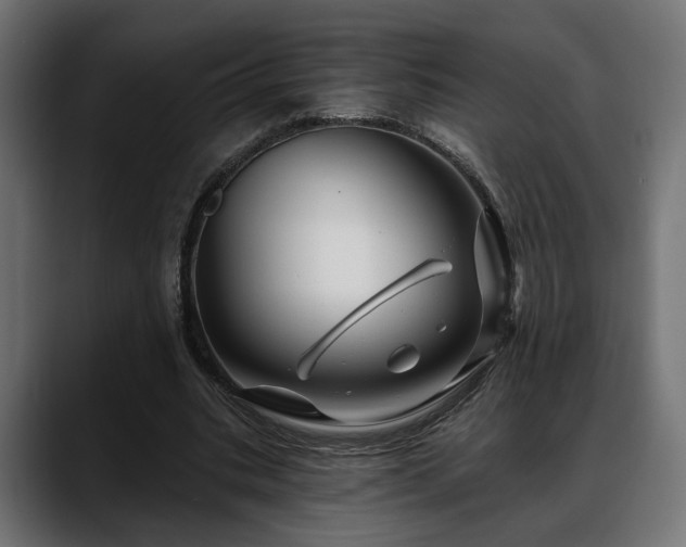 X0000088570535200705251119