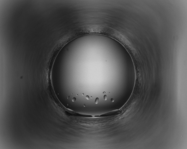 X0000088570537200705251119
