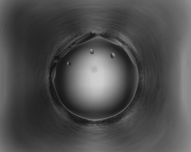 X0000088570538200705251119