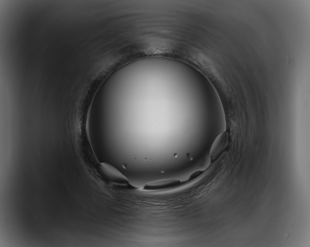 X0000088570539200705251119