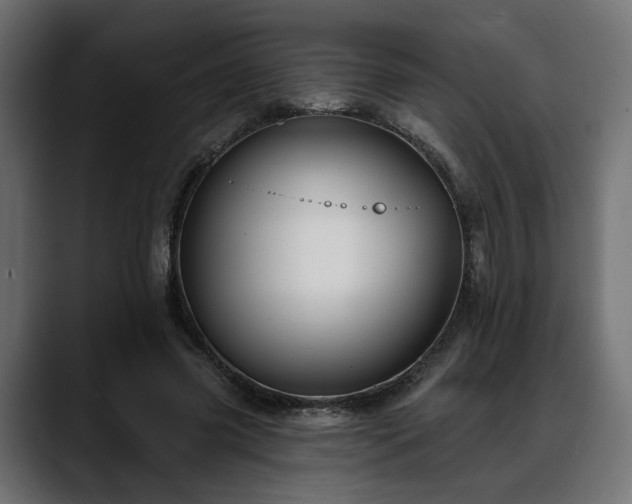 X0000088570541200705251120