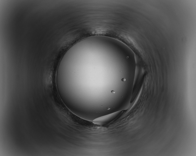 X0000088570543200705251120