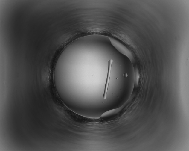 X0000088570544200705251120
