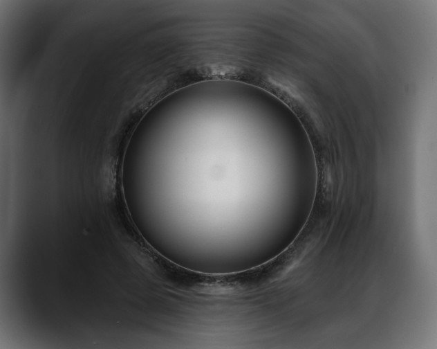 X0000088570545200705251120