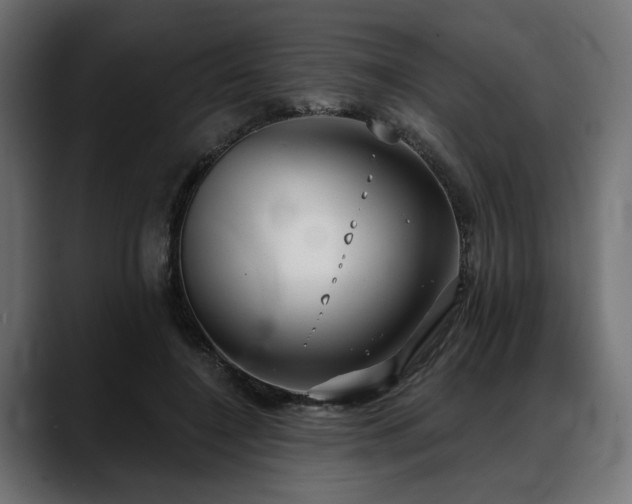 X0000088570548200705251120
