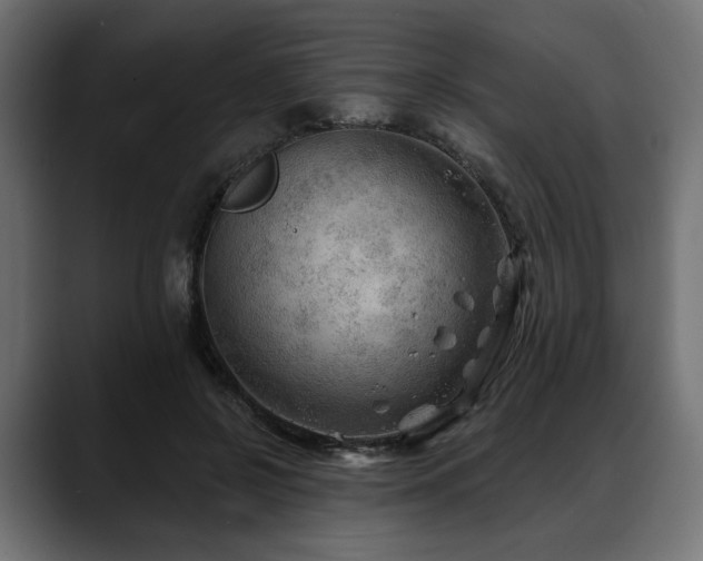 X0000088570550200705251120