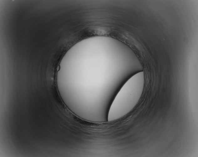 X0000088570553200705251120