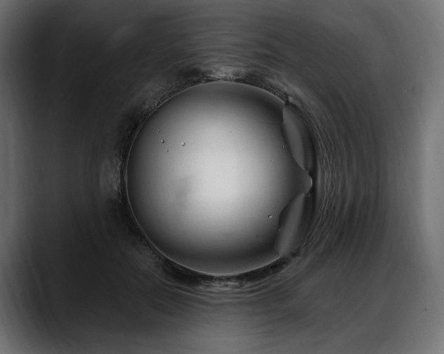 X0000088570554200705251120