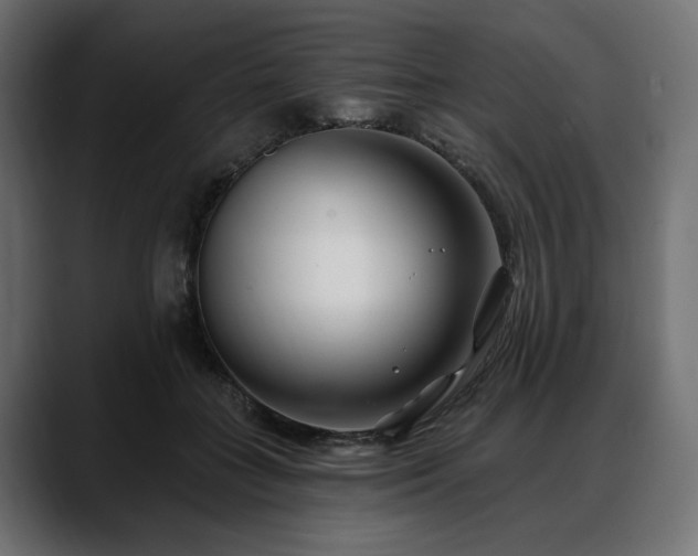 X0000088570555200705251120
