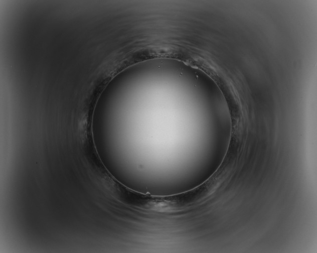 X0000088570557200705251120
