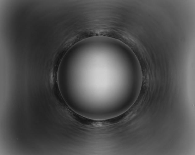 X0000088570558200705251120
