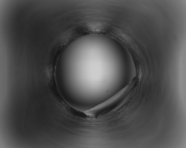 X0000088570559200705251120