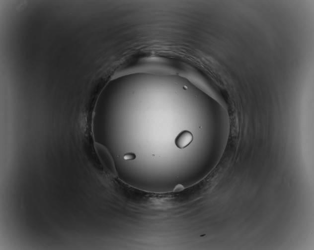 X0000088570560200705251120
