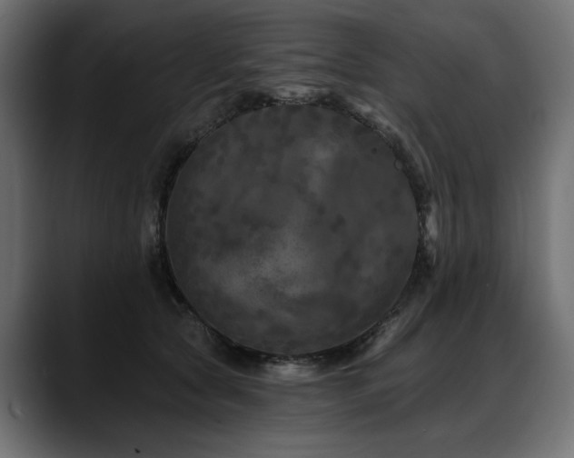 X0000088570561200705251120