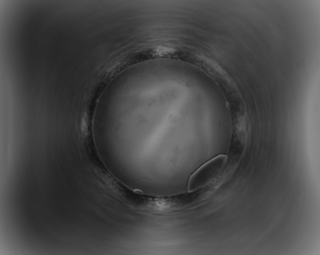 X0000088570565200705251120