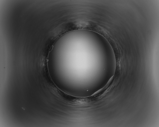 X0000088570567200705251120