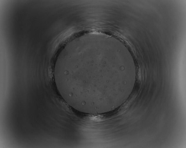 X0000088570569200705251120